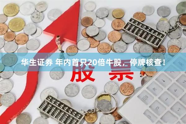 华生证券 年内首只20倍牛股，停牌核查！
