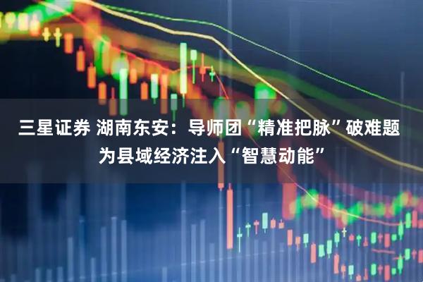 三星证券 湖南东安：导师团“精准把脉”破难题 为县域经济注入“智慧动能”