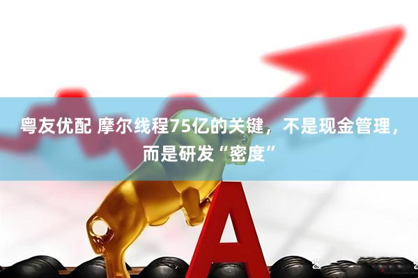 粤友优配 摩尔线程75亿的关键，不是现金管理，而是研发“密度”