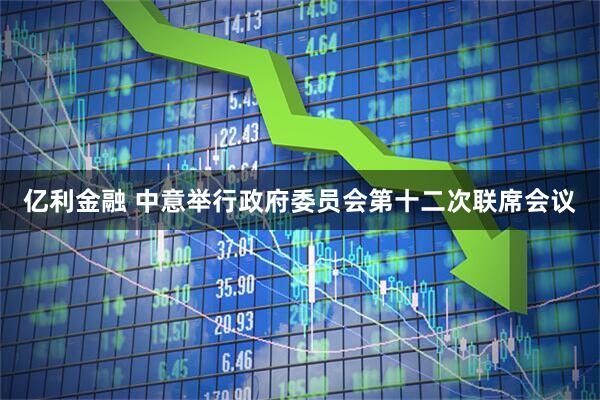 亿利金融 中意举行政府委员会第十二次联席会议